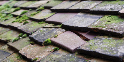 Goldenhill roof repair costs